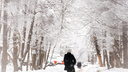 Январские морозы в ноябре: в Самарской области похолодает до -23 градусов
