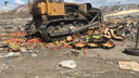 Более трех тонн санкционных яблок уничтожили в Кургане