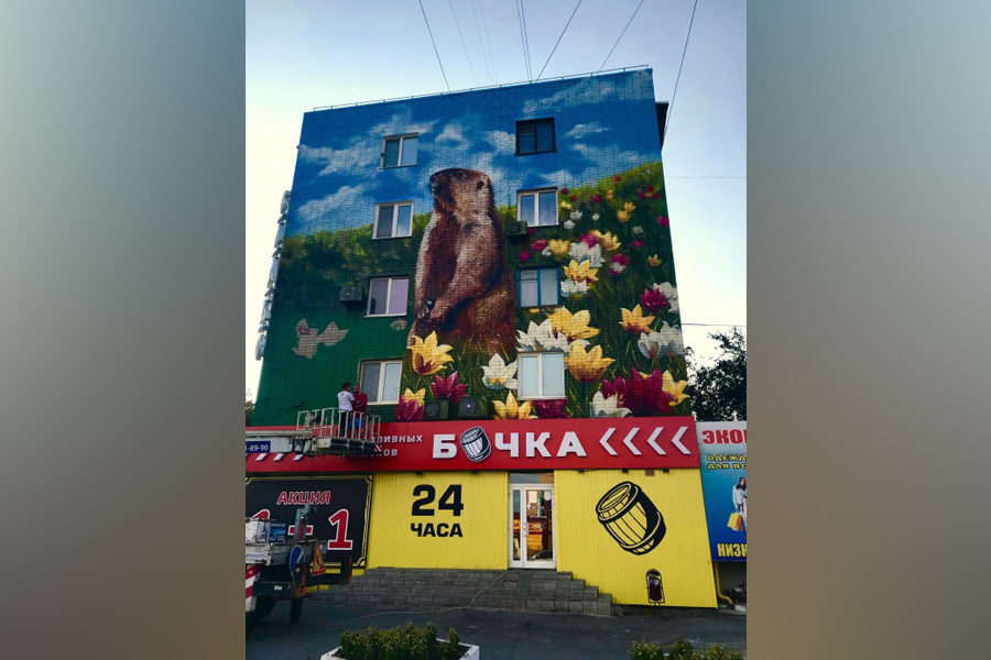 Жители Орска показывают суслика в тюльпанах гостям города как достопримечательность Жители Орска показывают суслика в тюльпанах гостям города как достопримечательность