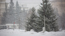 Объявлено предупреждение: к Новосибирску приближается стена мокрого снега