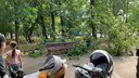 «Коляска перевернулась вместе с ребенком»: на скамейку в парке Гагарина упала огромная ветка