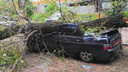 «Сделает кабриолет»: в Самаре дерево снесло крышу у «десятки»