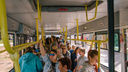 Жители «Кошелев-парка» просят пустить автобусы до рынка «Шапито»