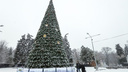 Ростов вошел в список городов с самыми высокими новогодними елками в стране