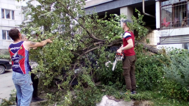 В Свердловской области шквалистый ветер повалил деревья и выбил окна в квартирах