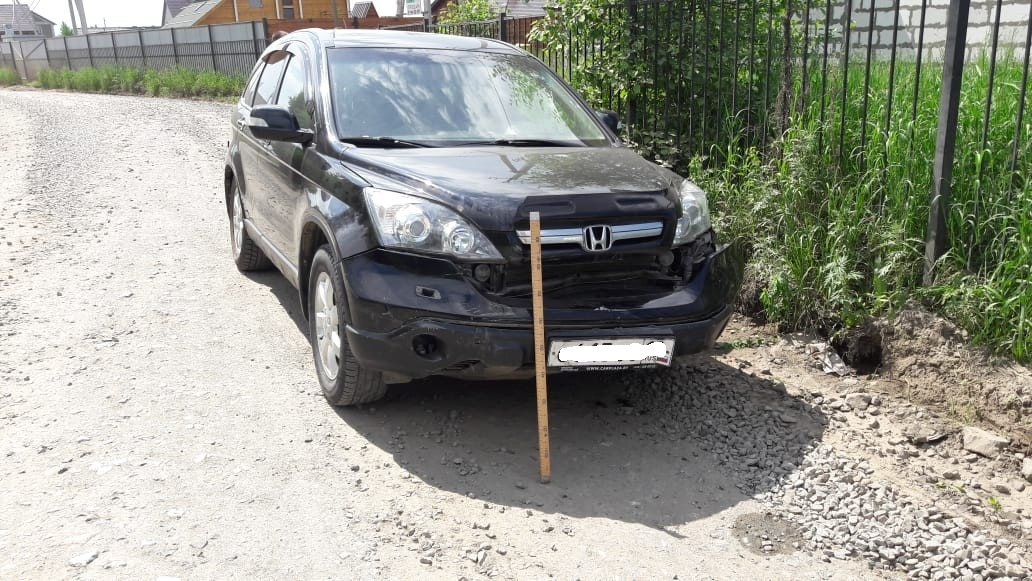 Водитель Honda отвлёкся на собаку и столкнулся с «Тойотой» Водитель Honda отвлёкся на собаку и столкнулся с «Тойотой»