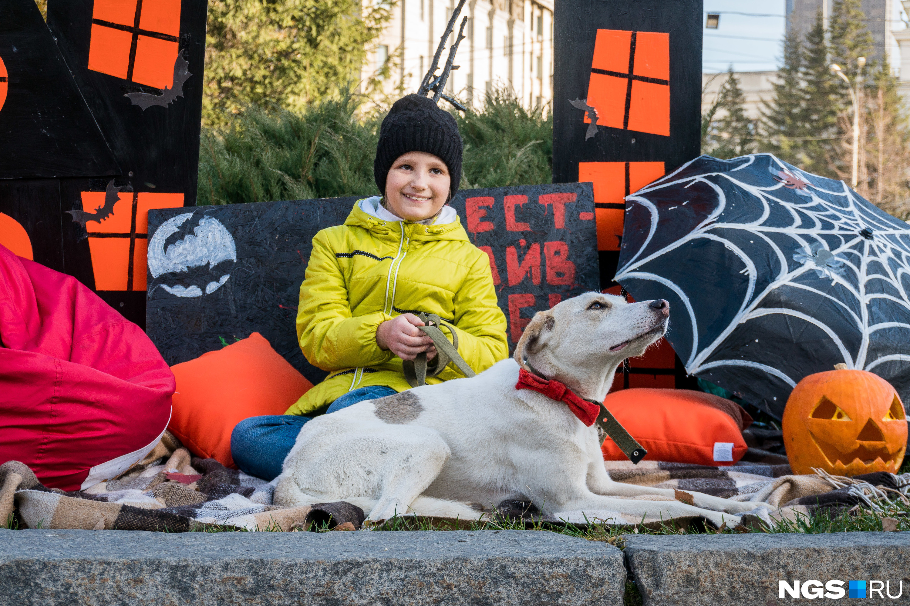 В октябре новосибирцы делятся на противников Хеллоуина и его обожателей, а также тех, кто просто использует его тематику для оформления городских акций. На фото — <a href="https://ngs.ru/text/animals/2018/10/28/65554111/" target="_blank" class="_">тест-драйв собак в Первомайском сквере</a> В октябре новосибирцы делятся на противников Хеллоуина и его обожателей, а также тех, кто просто использует его тематику для оформления городских акций. На фото — <a href="https://ngs.ru/text/animals/2018/10/28/65554111/" target="_blank" class="_">тест-драйв собак в Первомайском сквере</a>