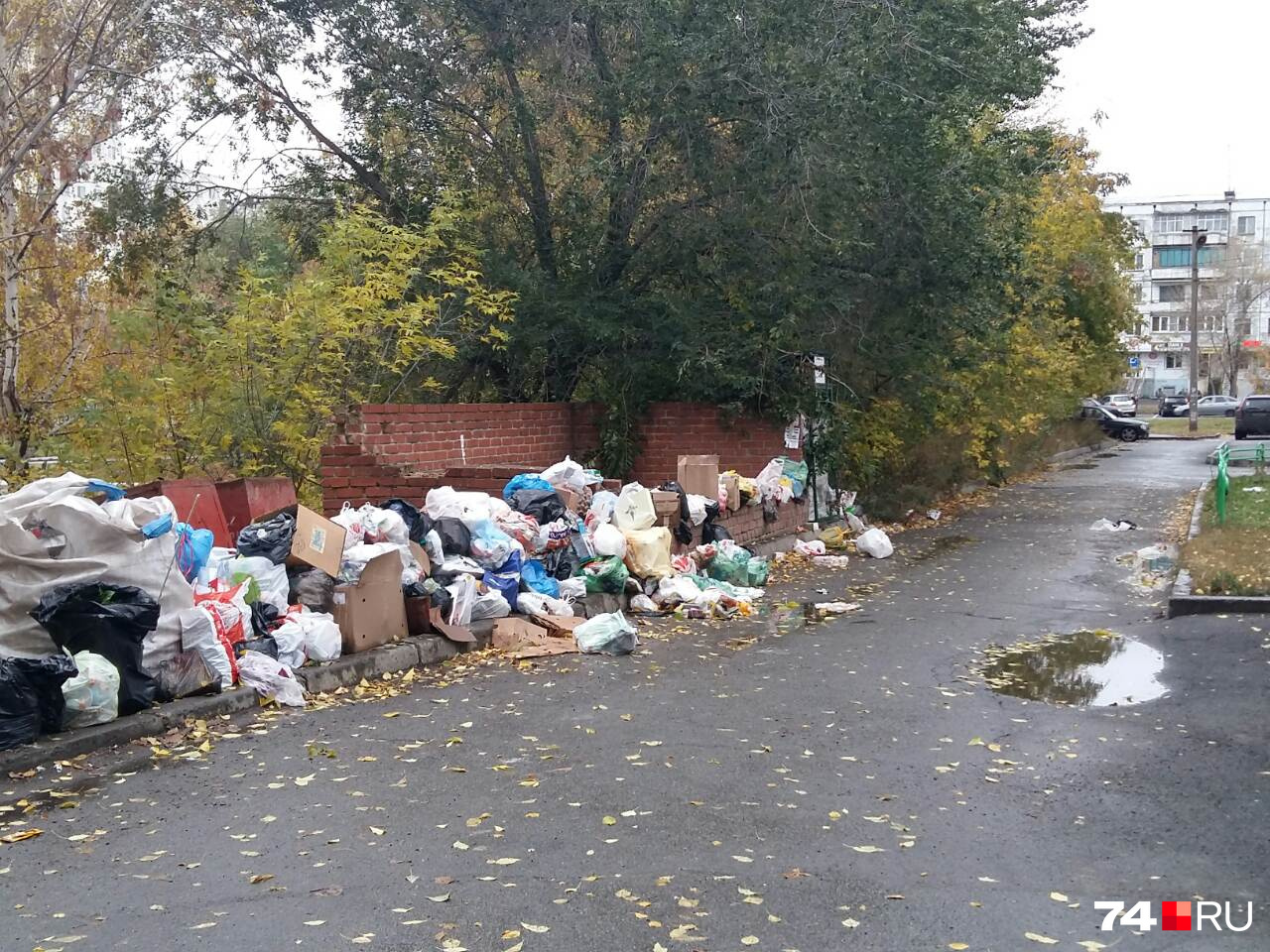 Пока перевозчики настраивают график, двор на Молодогвардейцев, 41г рискует погрязнуть в мусоре. Из-за крыс жители уже боятся ходить мимо контейнеров Пока перевозчики настраивают график, двор на Молодогвардейцев, 41г рискует погрязнуть в мусоре. Из-за крыс жители уже боятся ходить мимо контейнеров