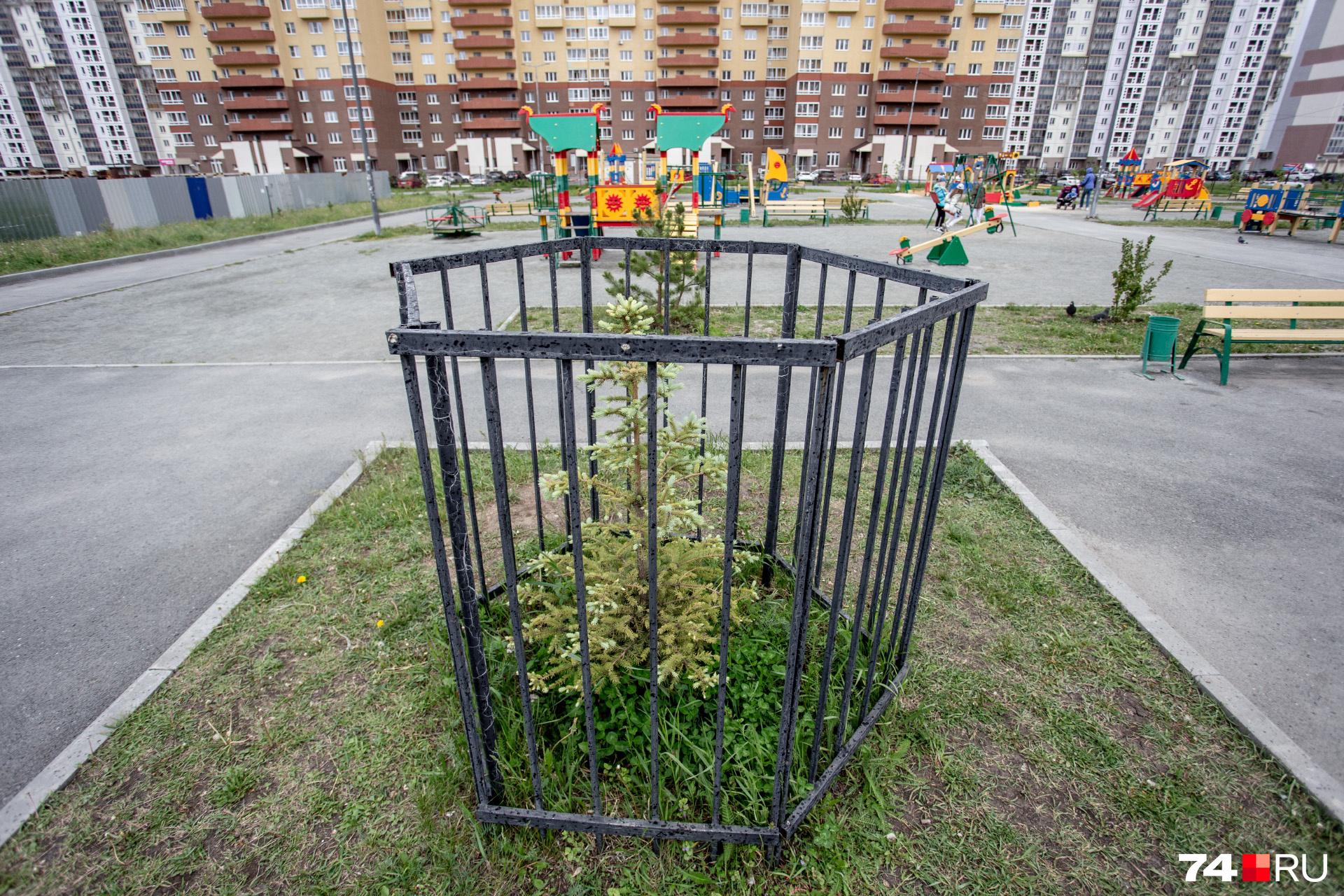 Ёлочку посадили Ёлочку посадили