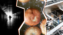 Проросший картофель, пирожки с мясом и колени: подборка самых необычных фобий ростовчан