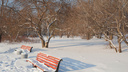 Холода отступят: синоптики назвали дату потепления в Новосибирске