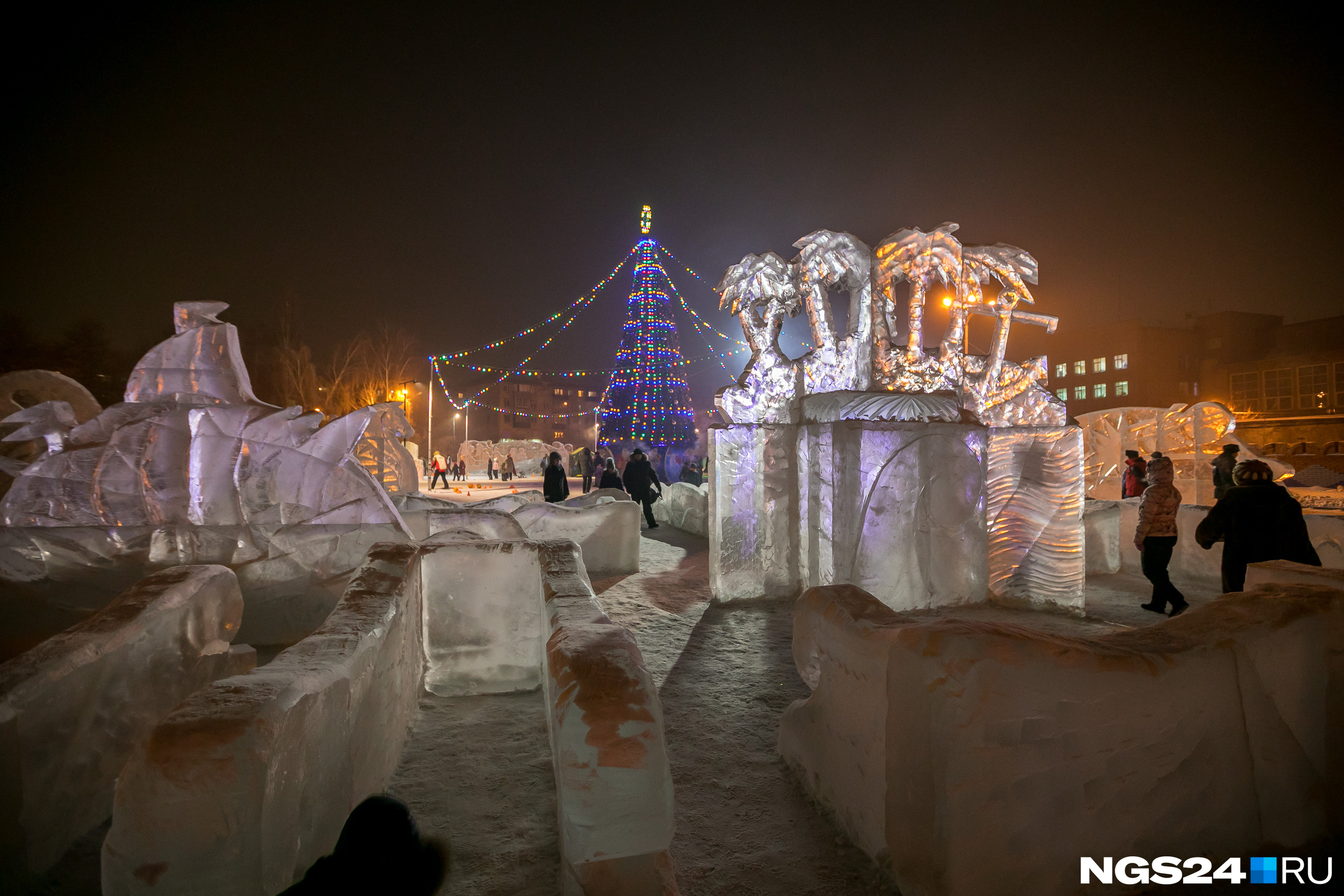 Даже зимой в Красноярске можно сделать фото с пальмами