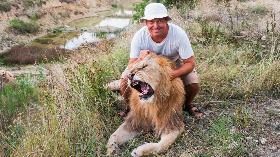 Подёргать за хвост и остаться в живых: фотограф из Екатеринбурга снял игрища крымских львов