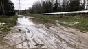 Природу надо беречь: чиновники объяснили, почему не будут ремонтировать дорогу до Академгородка