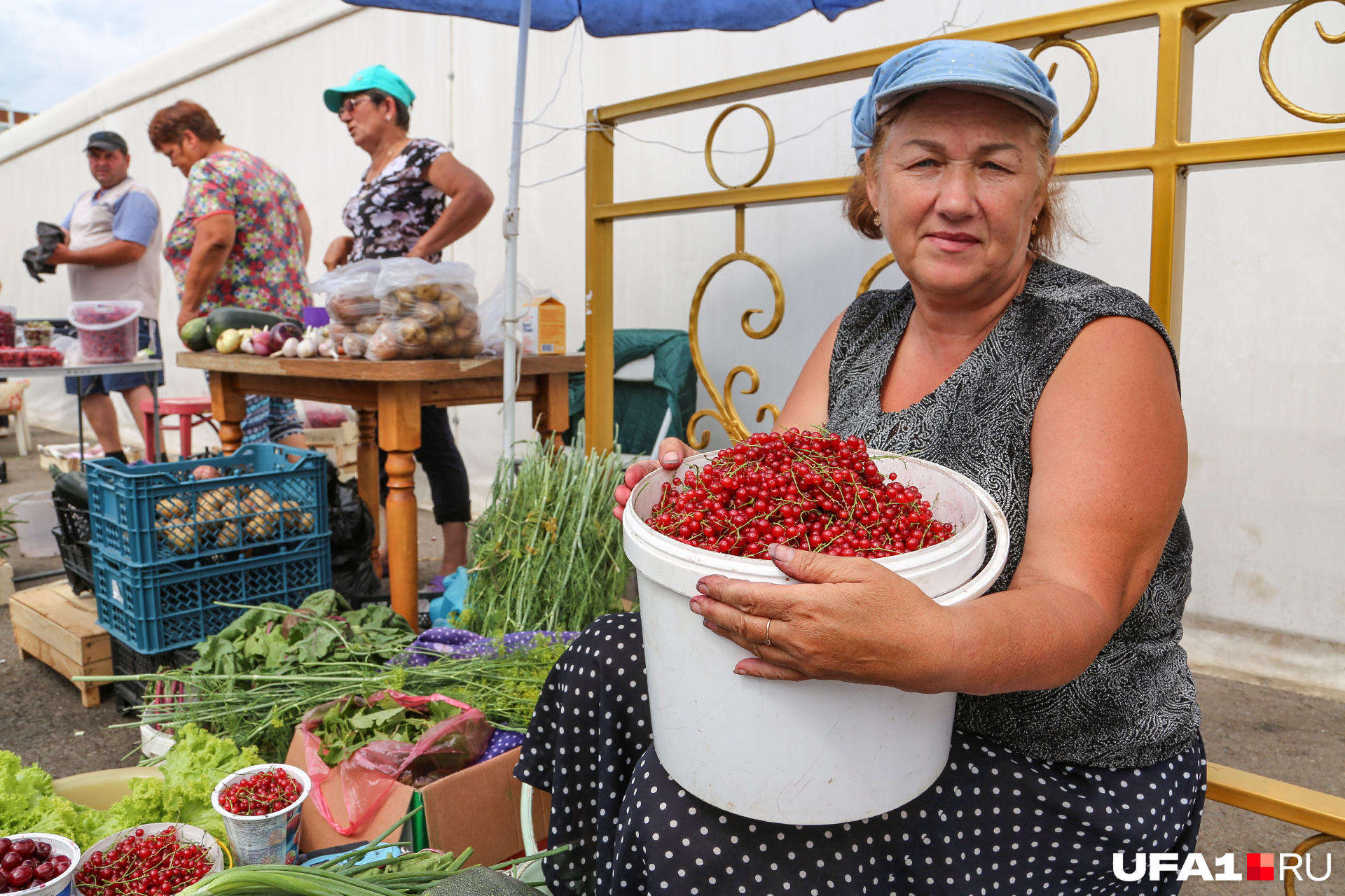Из красной смородины получается отличное желе, богатое витамином С Из красной смородины получается отличное желе, богатое витамином С