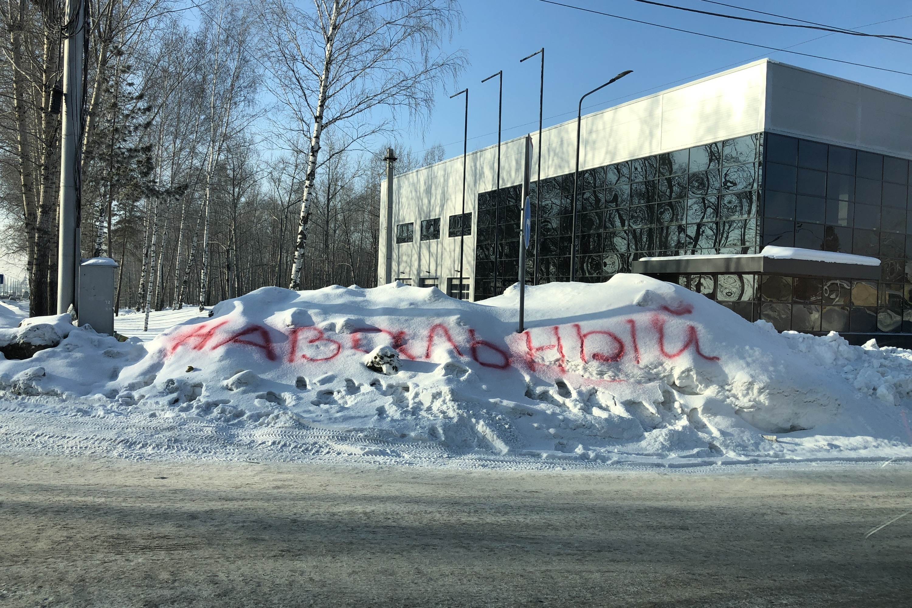 В Новосибирске появился сугроб с надписью «Навальный» — его не убирают - 27  февраля 2018 - НГС