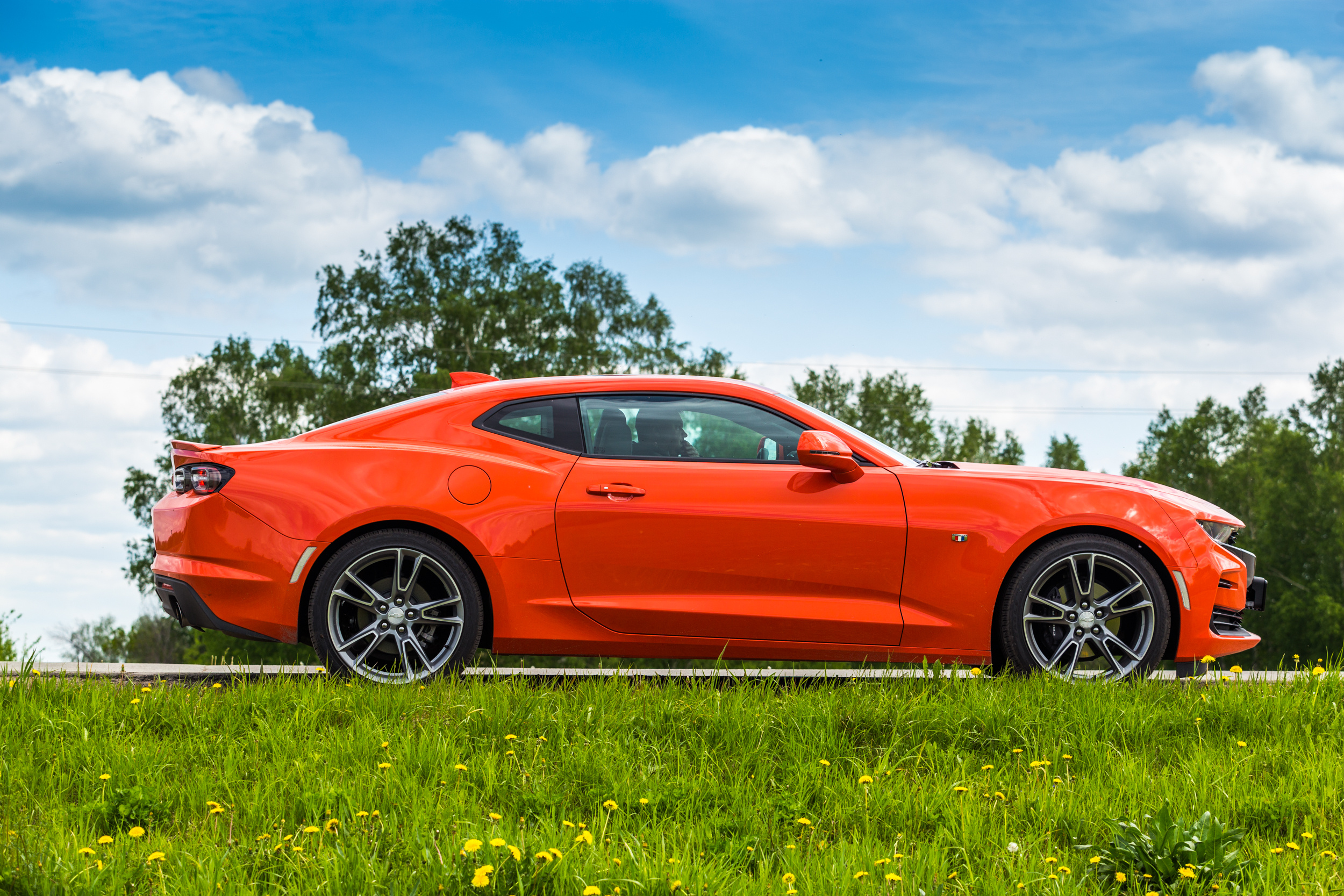 Chevrolet Camaro Shock Edition