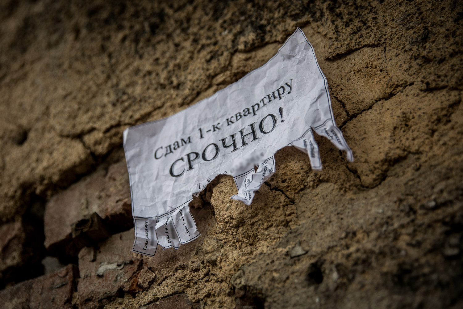Налоговая служба нашла новый источник получения дохода — в собственниках, сдающих квартиры в аренду Налоговая служба нашла новый источник получения дохода — в собственниках, сдающих квартиры в аренду