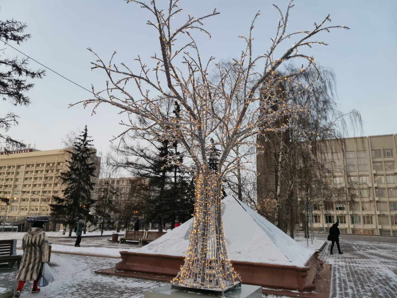Точно такие же деревья установлены в сквере на Дзержинского Точно такие же деревья установлены в сквере на Дзержинского