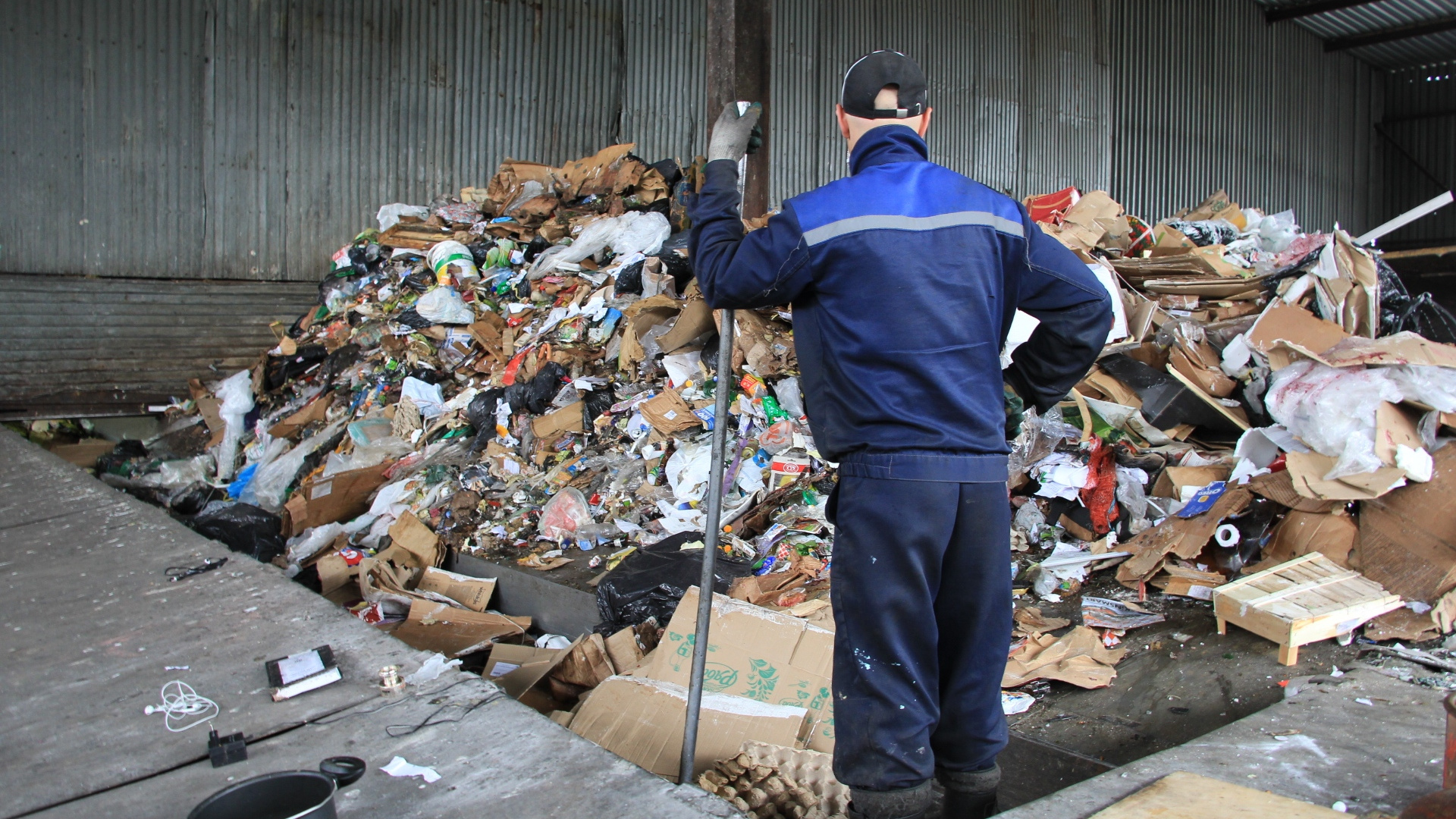«С Поморьем никто не хочет работать»: эксперт Greenpeace — о провале «мусорной реформы»
