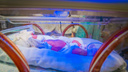 Забыли про новорожденных: на Дону оштрафовали районную больницу