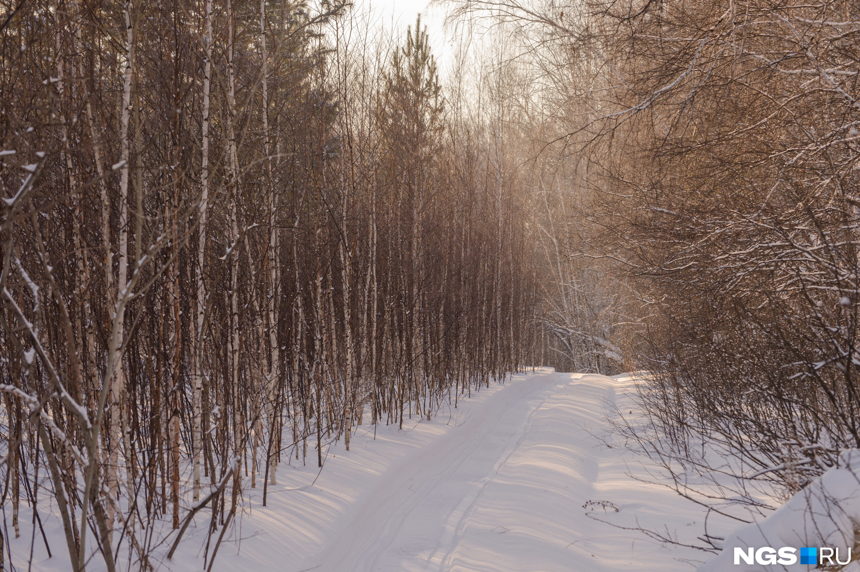 Белогуры появились в начале 2000-х — летом до них можно доехать на машине, зимой нужно идти пешком из деревни Кругликово 