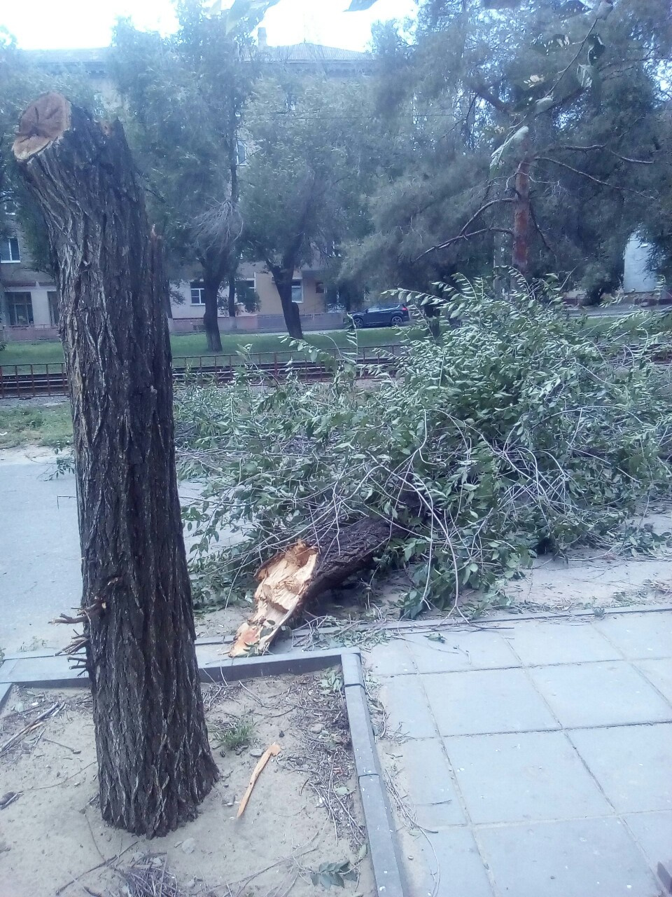Техника пока не доехала до парка Техника пока не доехала до парка
