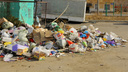 Только треть красноярцев готовы сортировать мусор