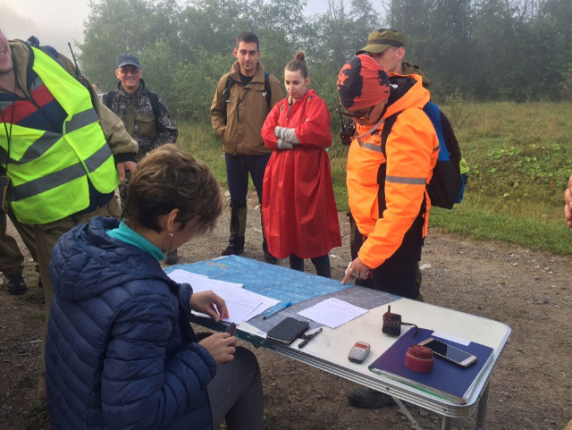 Волонтёры осмотрели уже 34 квадратных километра леса