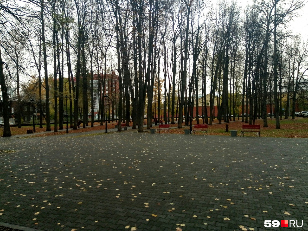 15:28. Сквер Достоевского. Лишь жёлтые листья 15:28. Сквер Достоевского. Лишь жёлтые листья