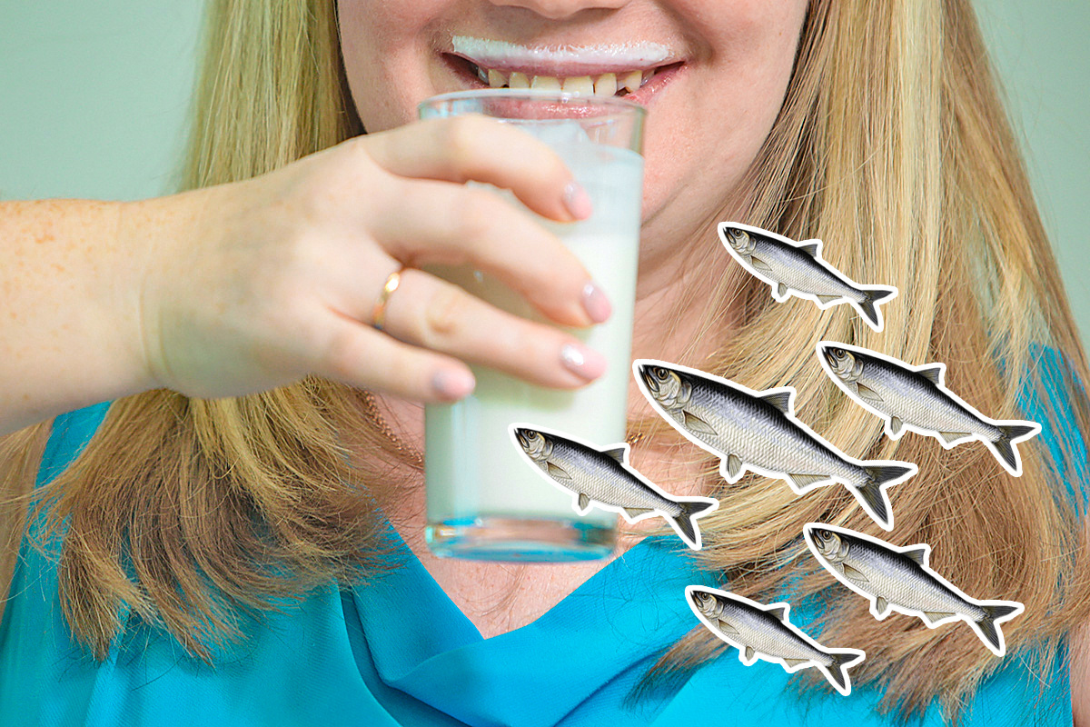 Что будет, если съесть селедку с молоком? Отвечают врачи - 22 мая - азинский.рф