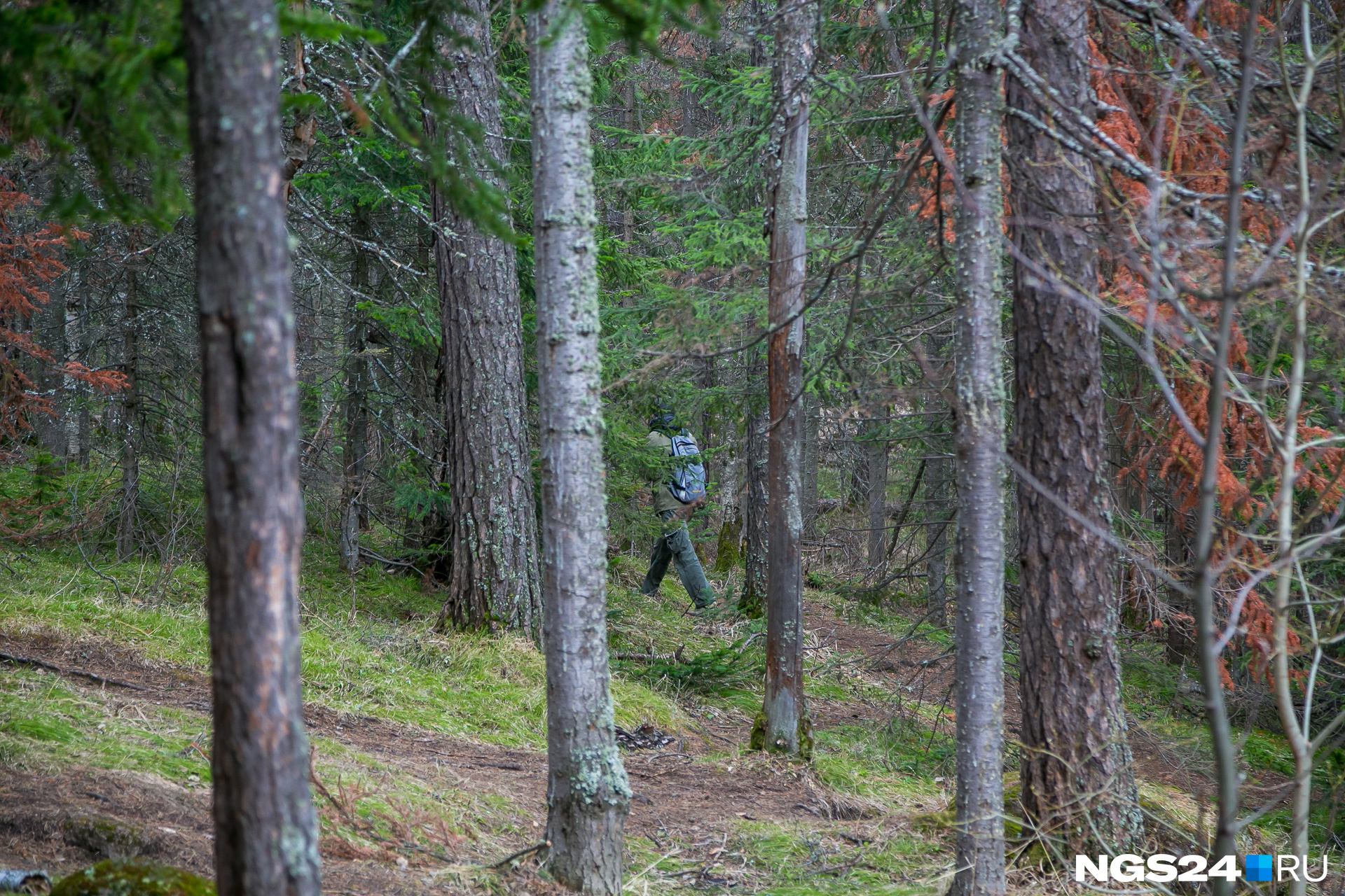 Надевать в лес нужно яркую одежду, иначе сольетесь с окружающей средой