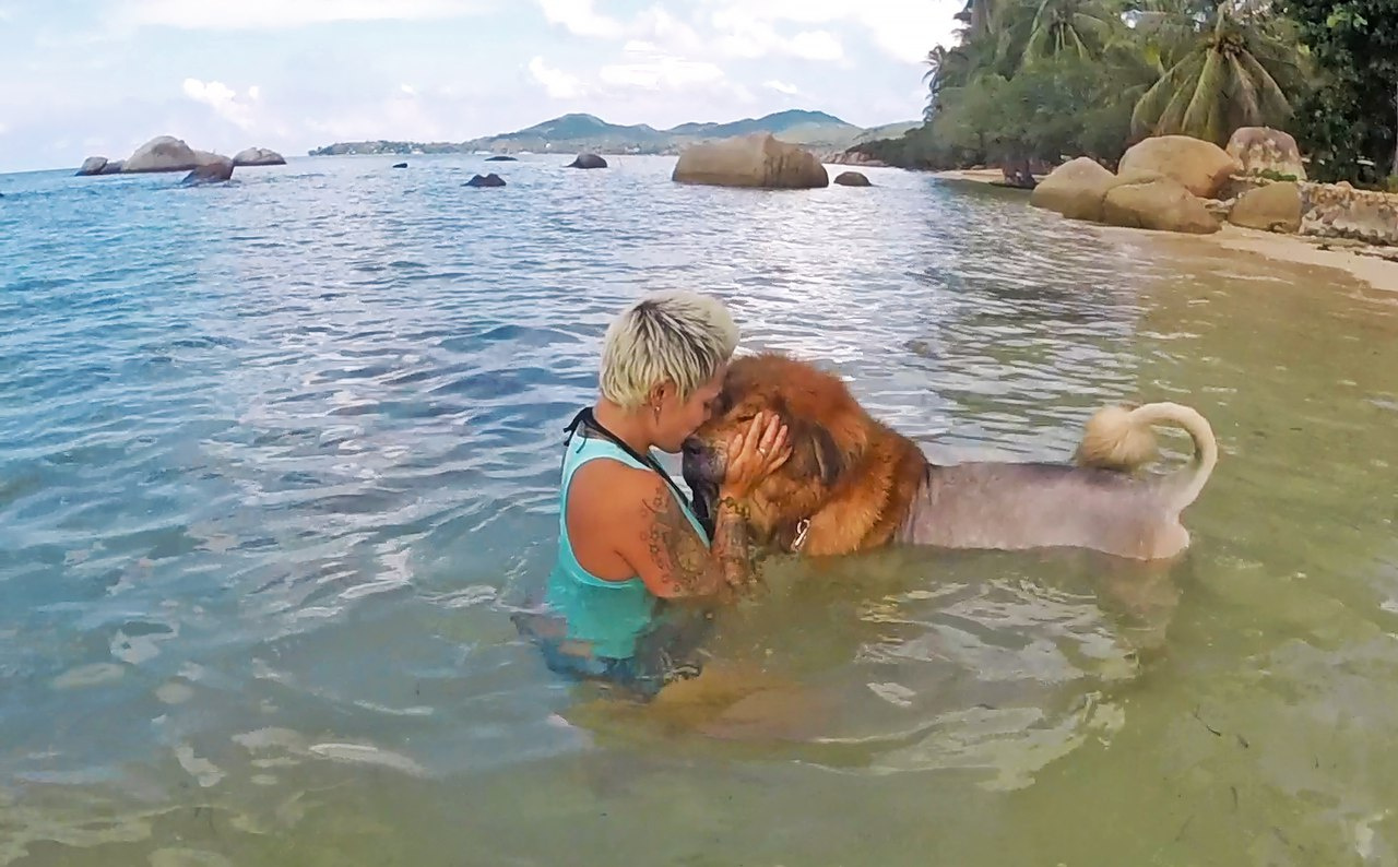 Сейчас пёс вместе с хозяйкой Олесей живет в <nobr class="_">Таиланде —</nobr> это их первое купание в море