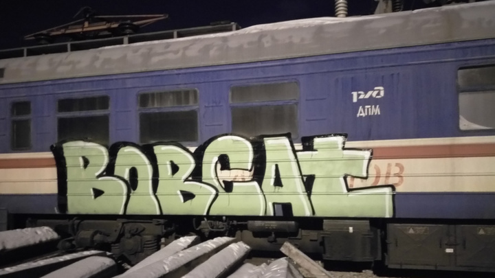 Опытных граффитистов за разрисовыванием железнодорожных вагонов в Красноярске ночью поймала полиция