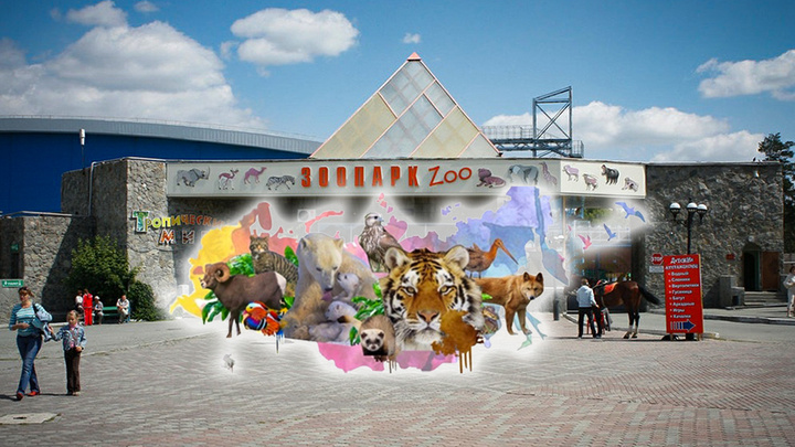Надо успеть до холодов: у челябинского зоопарка появятся масштабные граффити с животными и пейзажами