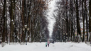 В Ярославском районе задержали извращенца, который в парке снял штаны на глазах у 12-летней девочки