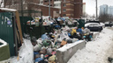 Тариф на мусор: всё, что нужно знать о новой системе обращения с отходами в Самарской области