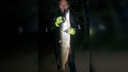 «Едва не утонул»: в Самарской области рыболов поймал щуку весом 8,4 кг
