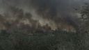 Пожар в Кумженской роще тушат 80 человек