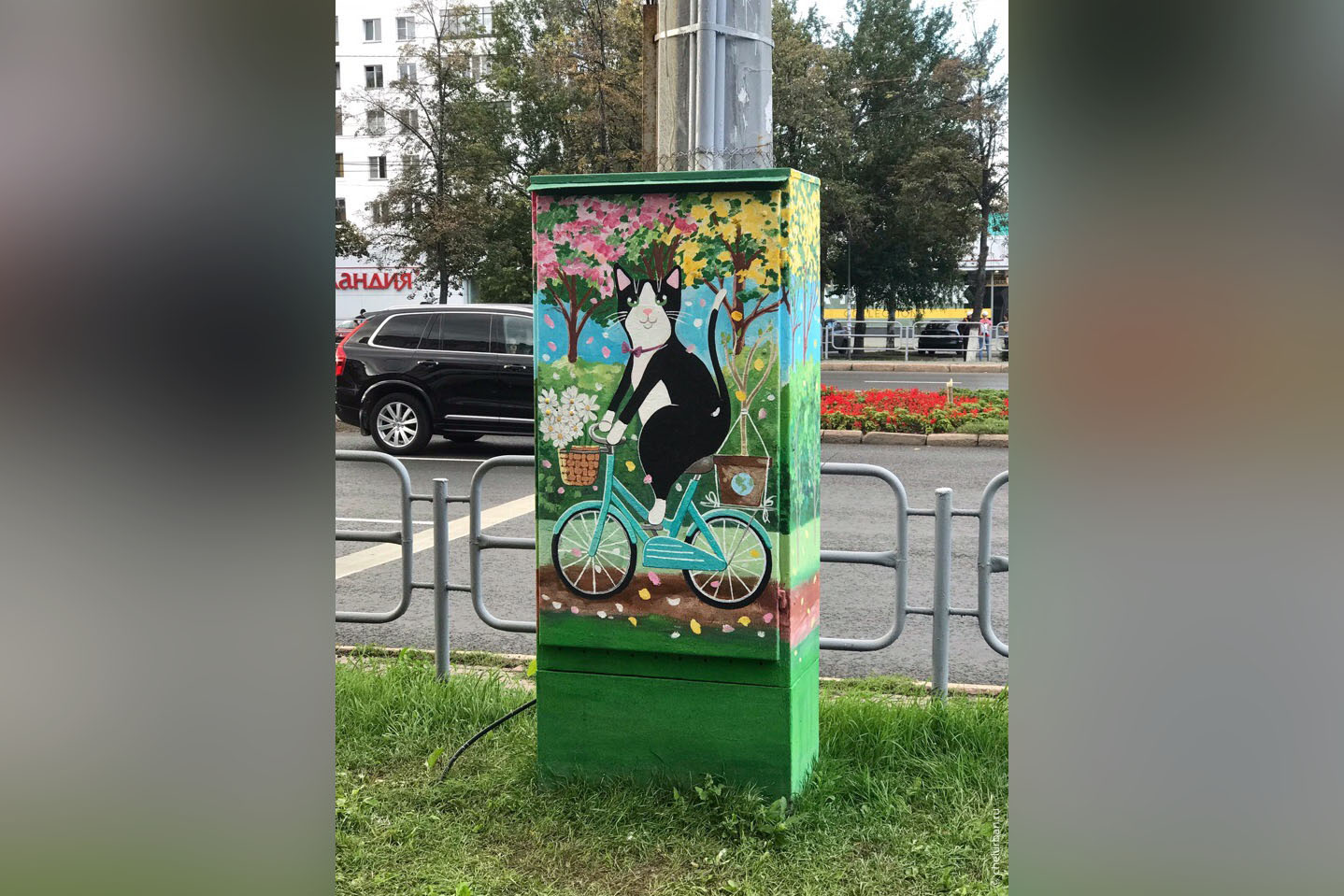 Рисунок сделали возле вуза на проспекте Ленина 
