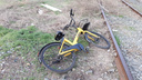 «Этих людей не победить»: волгоградцы продолжают раскидывать по кустам желтые велосипеды Mobee