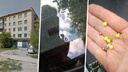 В Академгородке обстреляли «Хонду Цивик»: в лобовое стекло попали шесть пуль