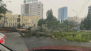 Буря в Новосибирске: ливень топит улицы, ветер валит деревья