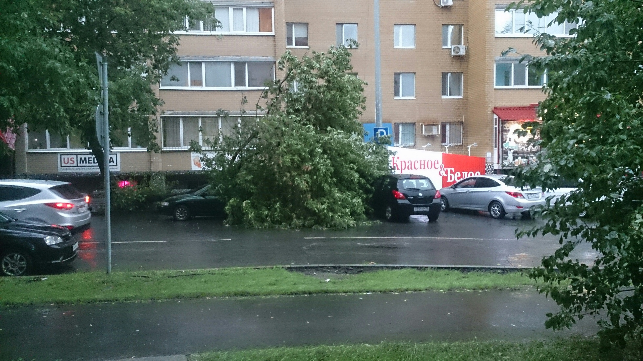 Дерево упало на машину Дерево упало на машину
