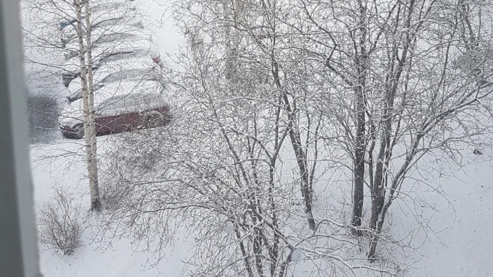 Никогда такого не было, и вот опять: перед майскими праздниками в Свердловской области выпал снег