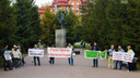 Жители Нижней Ельцовки вышли на пикет против стройки в уникальном бору