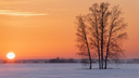 Снимок тёплого зимнего заката под Новосибирском попал в топ престижного конкурса