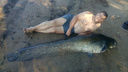 Царь-рыба: в Самарской области рыбак поймал в Волге сома весом 70 кг