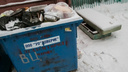 Жительница Зауралья перепутала почтальона, предложившего оплатить вывоз мусора, с мошенником