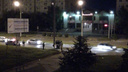 «Водитель был пьян»: в Тольятти «Нива» на скорости врезалась в столб